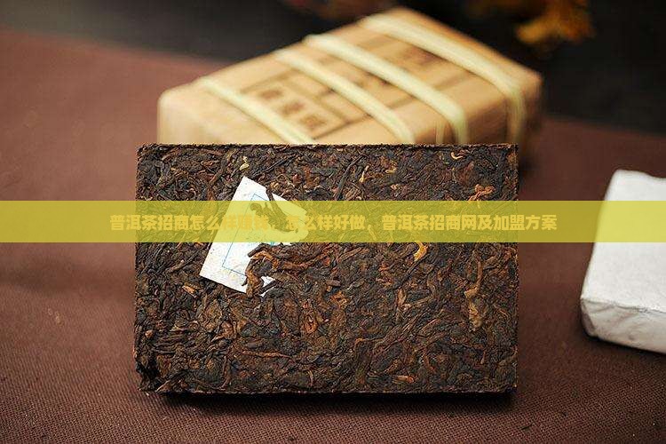 普洱茶招商怎么样
