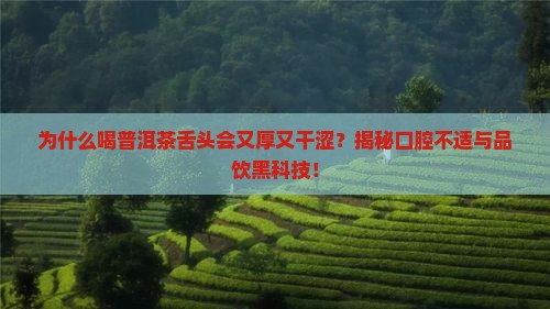 喝普洱茶喝着舌头厚干涩