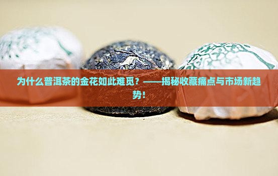 普洱茶的金花难觅