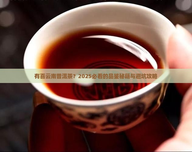 有喜云南普洱茶