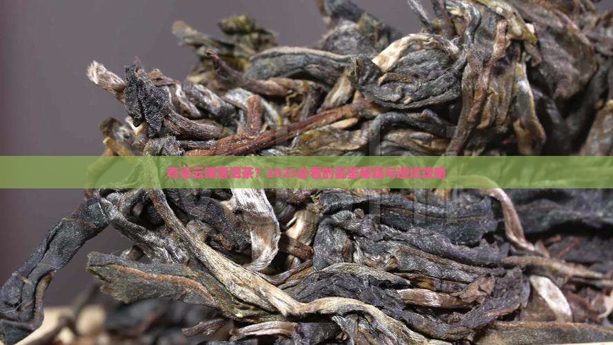 有喜云南普洱茶