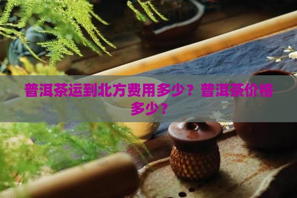 普洱茶运到北方多少钱
