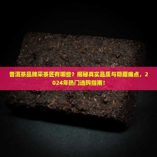 普洱茶品牌采茶匠有哪些