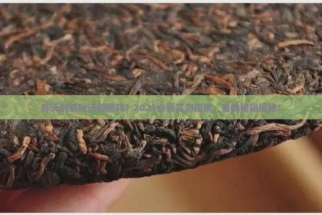 昨天的茶叶今天还可以再次冲泡吗