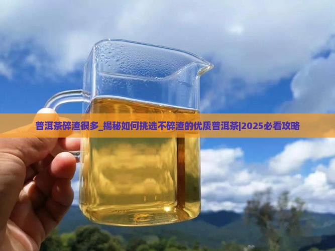 普洱茶碎渣很多