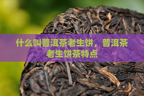 什么叫普洱茶老生饼