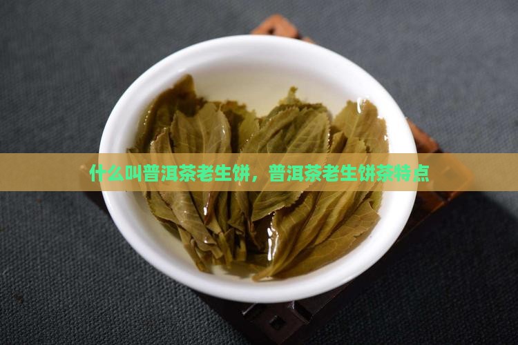 什么叫普洱茶老生饼