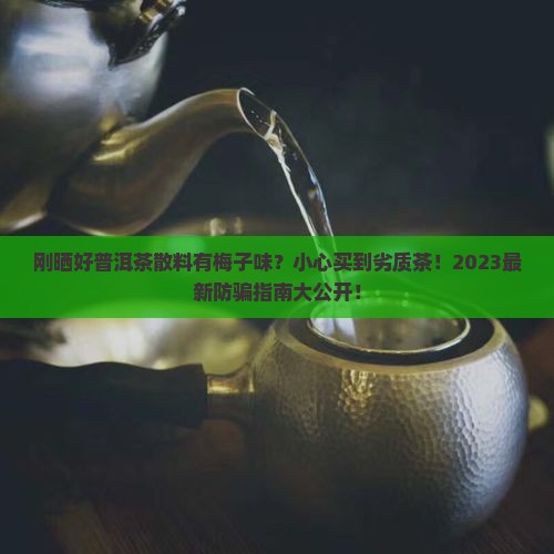 刚晒好普洱茶散料有梅子味