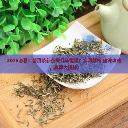普洱茶新茶能放几年吗能喝吗