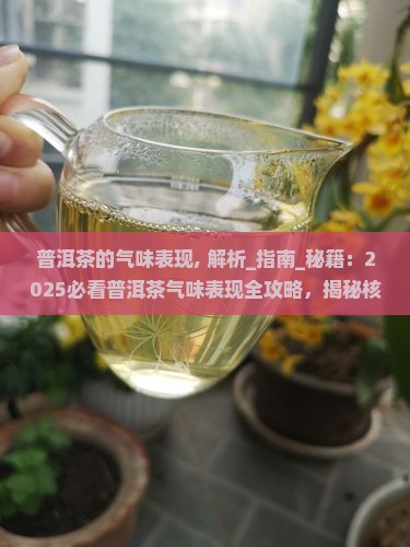 普洱茶的气味表现