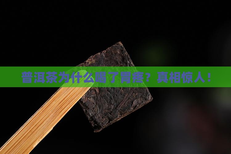 普洱茶为什么喝了胃疼