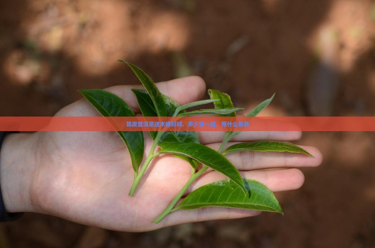 陈皮普洱茶送木桶
