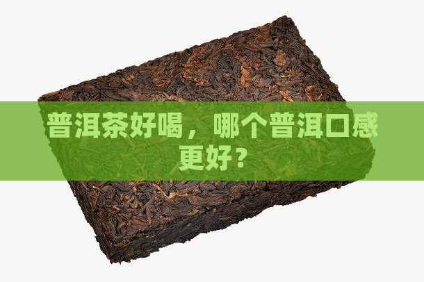 买普洱茶哪好喝