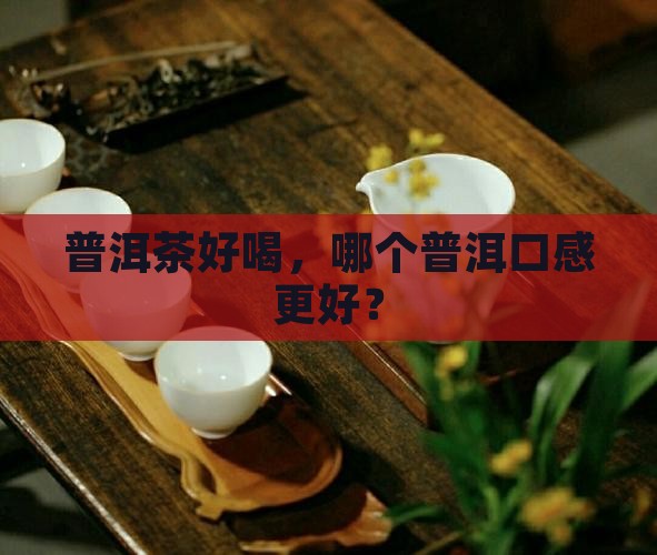 买普洱茶哪好喝