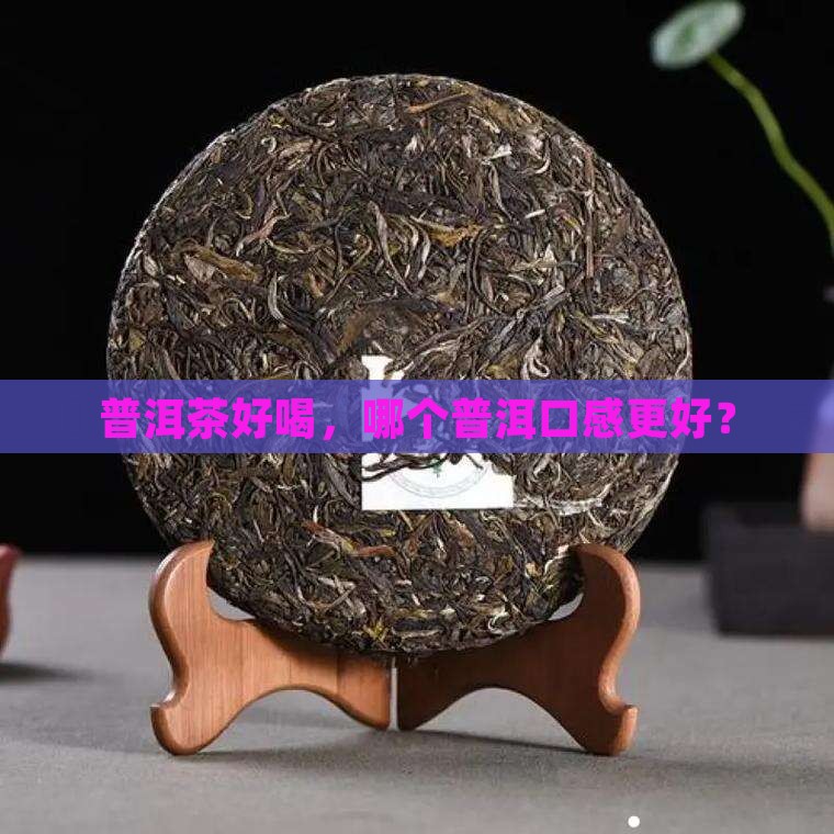 买普洱茶哪好喝