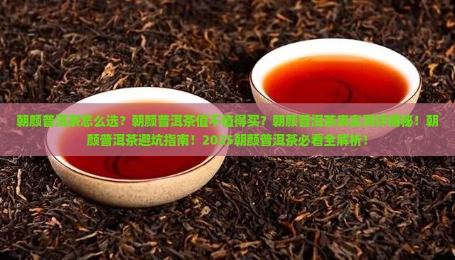 朝颜普洱茶怎样