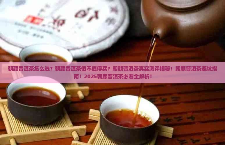 朝颜普洱茶怎样
