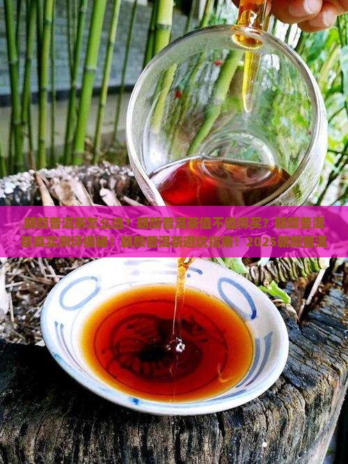 朝颜普洱茶怎样