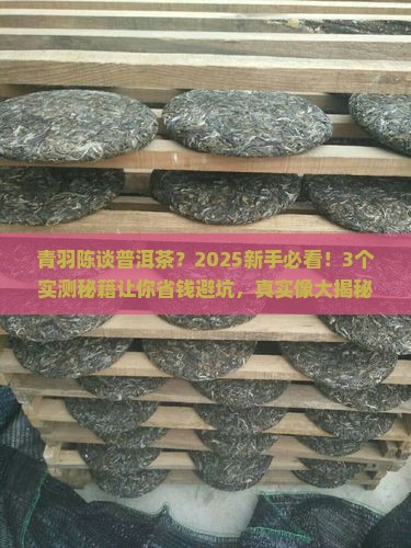 青羽陈谈普洱茶