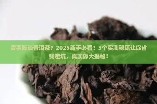 青羽陈谈普洱茶