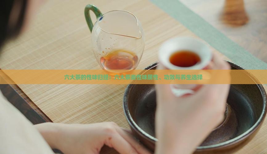 六大茶的性味归经