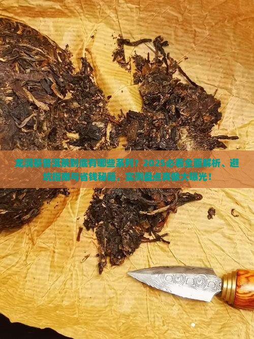 龙润茶普洱茶哪些