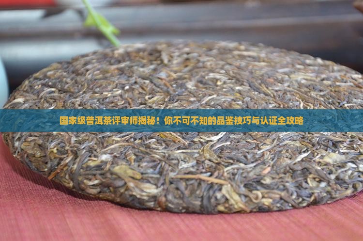 国家级普洱茶评审师
