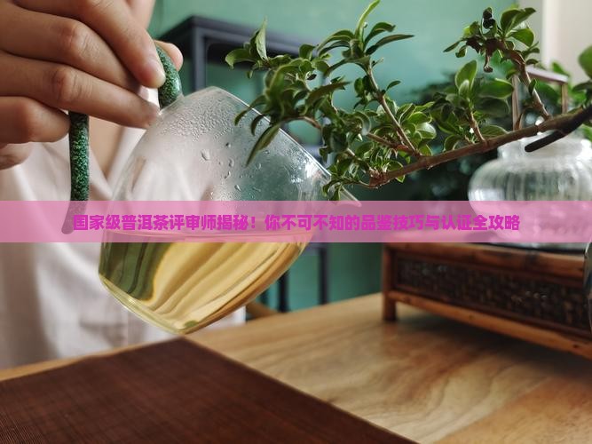 国家级普洱茶评审师