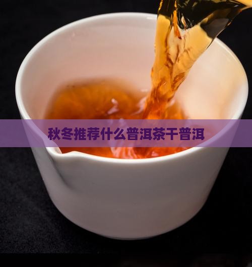秋冬喝什么普洱茶干