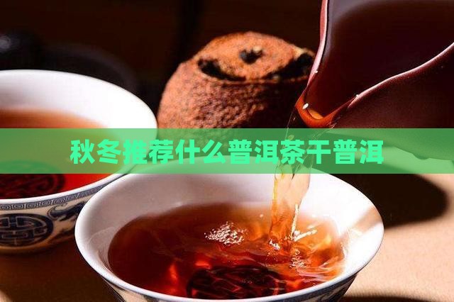 秋冬喝什么普洱茶干