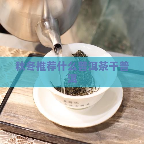 秋冬喝什么普洱茶干