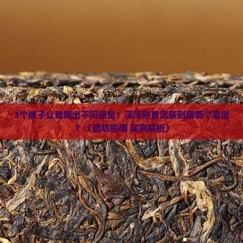深泽熟普洱茶哪个牌子好