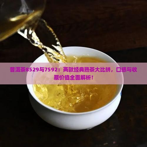 普洱茶8529与7592