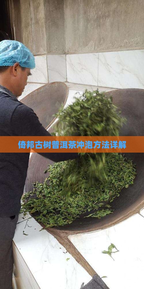 倚邦古树普洱茶怎么泡