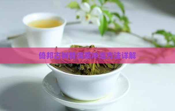 倚邦古树普洱茶怎么泡