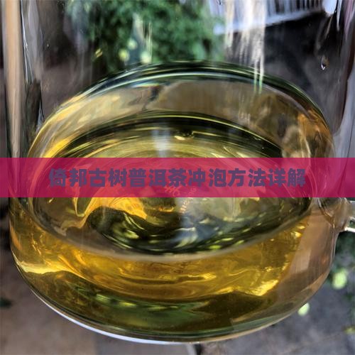 倚邦古树普洱茶怎么泡