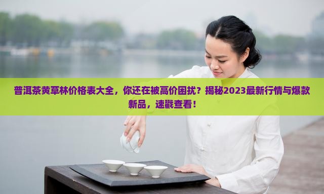 普洱茶黄草林价格表大全