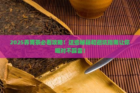 养胃茶有哪几种