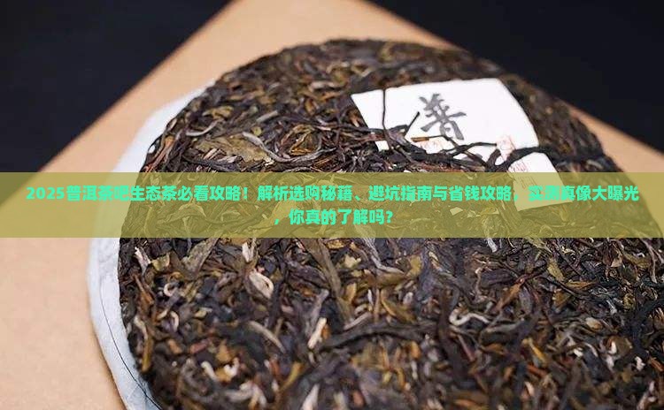 普洱茶吧生态茶
