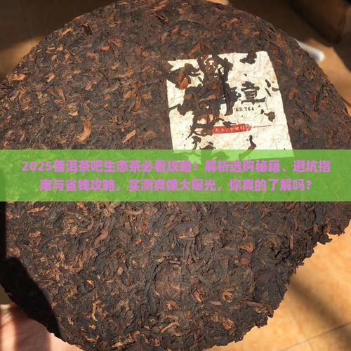 普洱茶吧生态茶