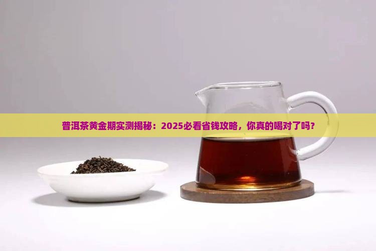 普洱茶黄金期多长时间