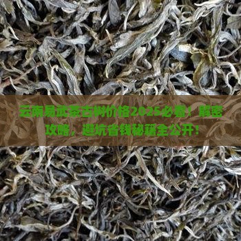 云南易武茶古树价格