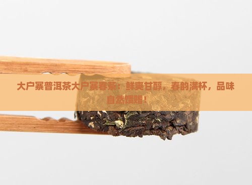 大户寨普洱茶大户寨春茶
