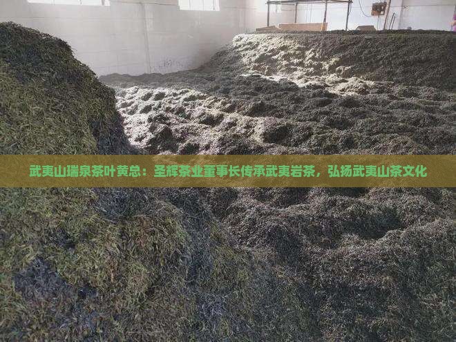 武夷山瑞泉茶叶黄总