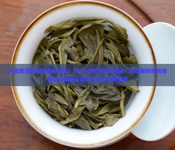 大益普洱茶沧海有必要抢吗