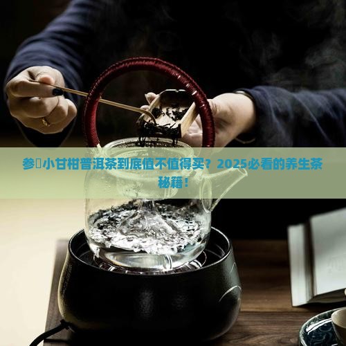 参茋小甘柑普洱茶