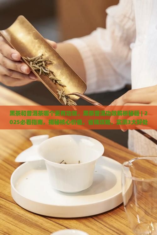 黑茶和普洱茶哪个更有功效