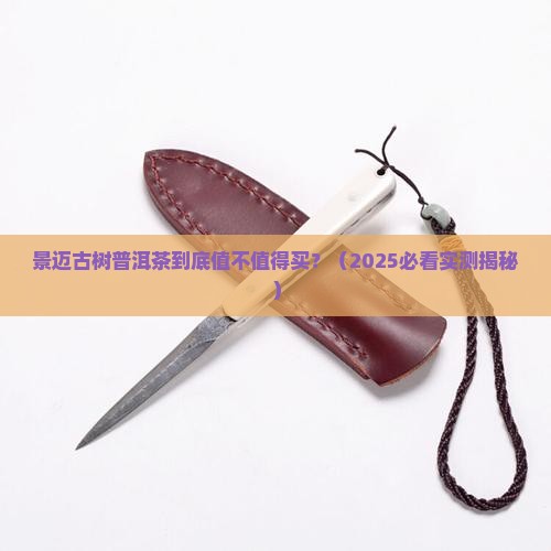 景迈古树普洱茶特征