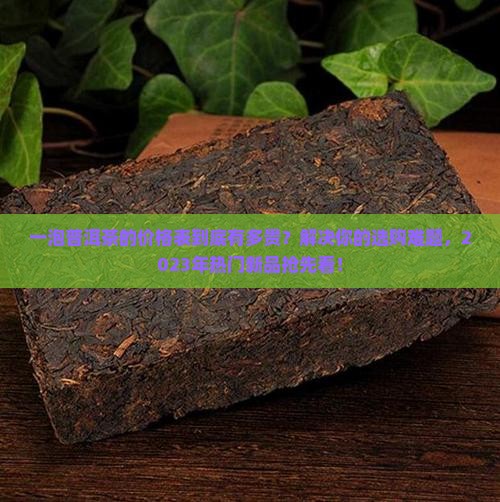 一泡普洱茶的价格表