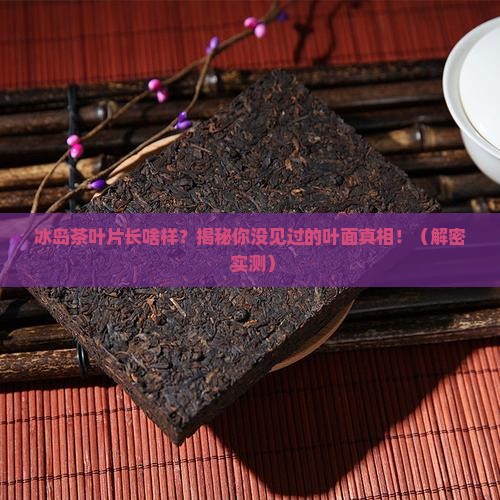 冰岛茶的叶片特征